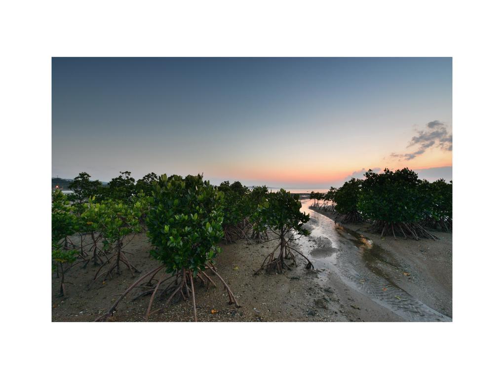 Oceanview Yui Hotel Ishigaki  Luaran gambar